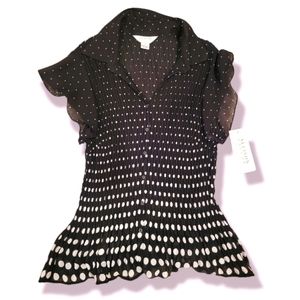 ALLISON Taylor Blouse size 2X